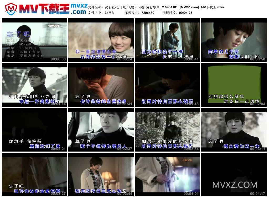 沈石磊-忘了吧(人物)_国语_流行歌曲_MA404181